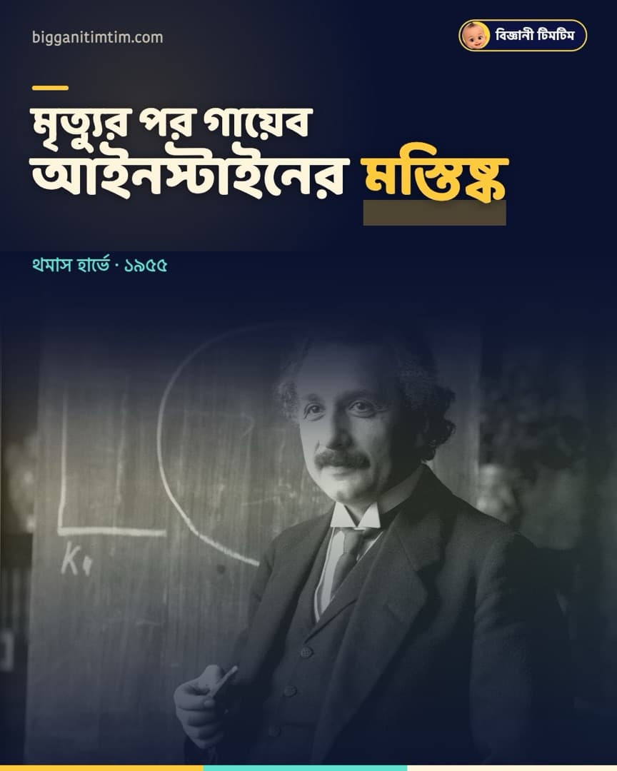 মৃত্যুর পর আইনস্টাইনের মস্তিষ্ক নিয়ে গিয়েছিলেন এক ডাক্তার!