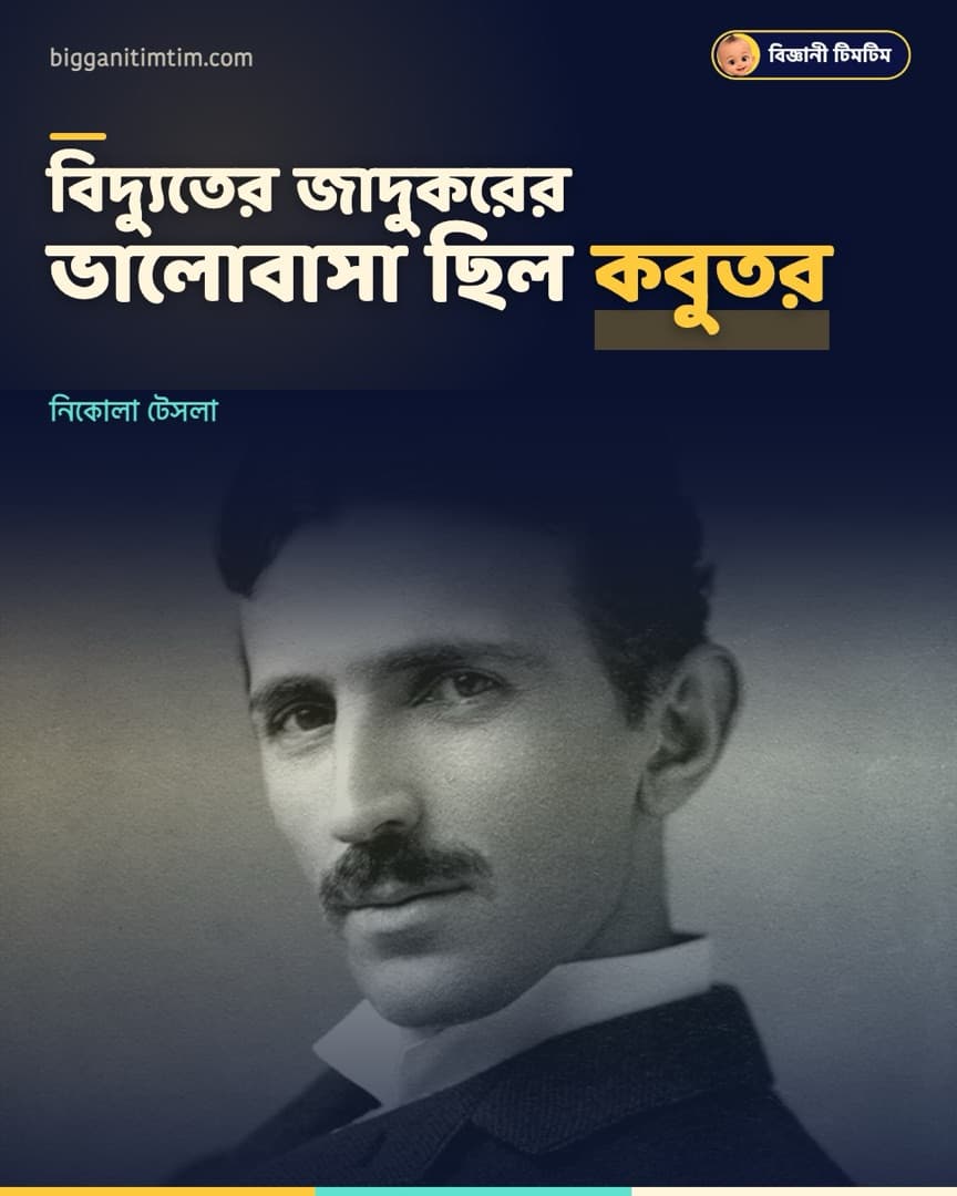 বিদ্যুতের জাদুকর টেসলা ভালোবাসতেন একটি সাদা কবুতরকে!
