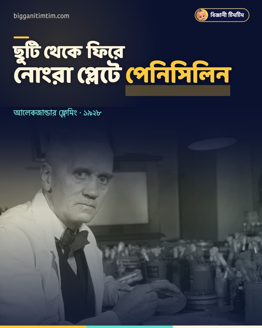 ছুটি কাটিয়ে ফিরে নোংরা প্লেটে পেলেন পেনিসিলিন!