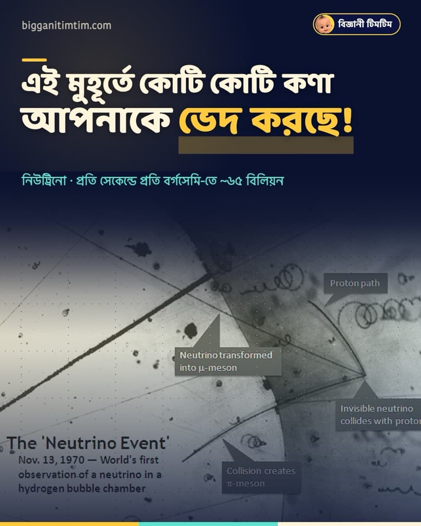 এই মুহূর্তে কোটি কোটি কণা আপনাকে ভেদ করছে!