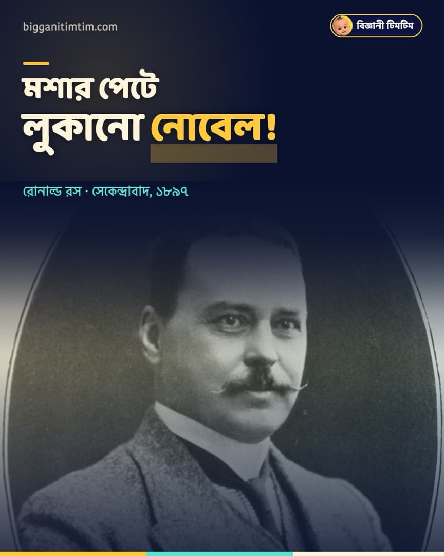 মশার পেটে লুকানো নোবেল!