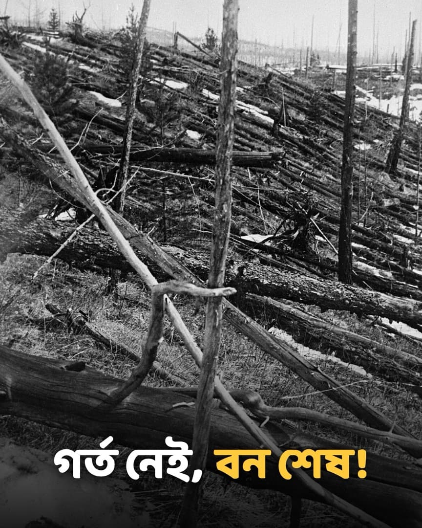 গর্ত নেই, বন শেষ!