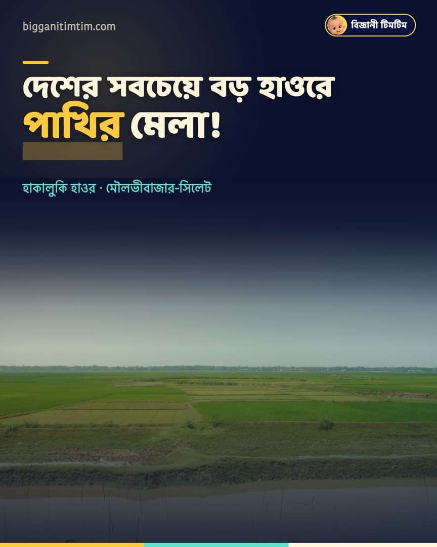 দেশের সবচেয়ে বড় হাওরে পাখির মেলা!